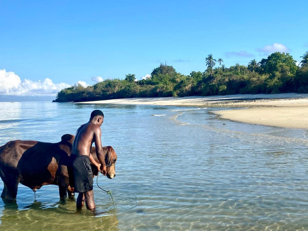 Kingstone Lodge Zanzibar Bet-el-Mali Zewnętrze zdjęcie