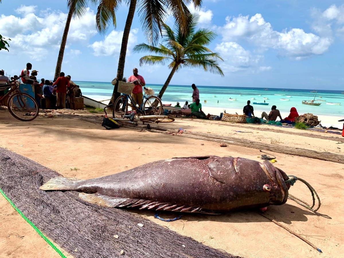 Kingstone Lodge Zanzibar Bet-el-Mali Zewnętrze zdjęcie